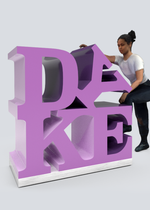 Load 3D model into Gallery viewer, emphasis on the Y (or the first time I gave my girlfriend head was in Indiana).obj  lavender edition by SHAWNÉ MICHAELAIN HOLLOWAY
